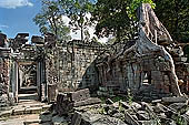 Preah Khan - eastern courtyard, auxiliary shrine of the Hall of Dancers engulfed by tree roots.